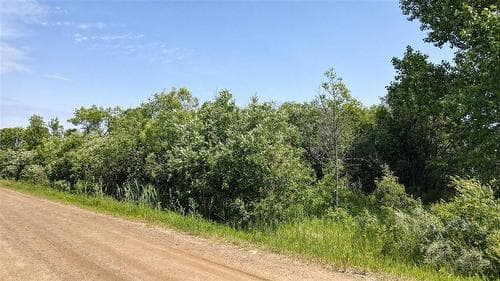 103 Victoria Drive, Alexander RM, MB R0E 2C0 — $94,999 listing by MIB Division at Royal LePage Prime